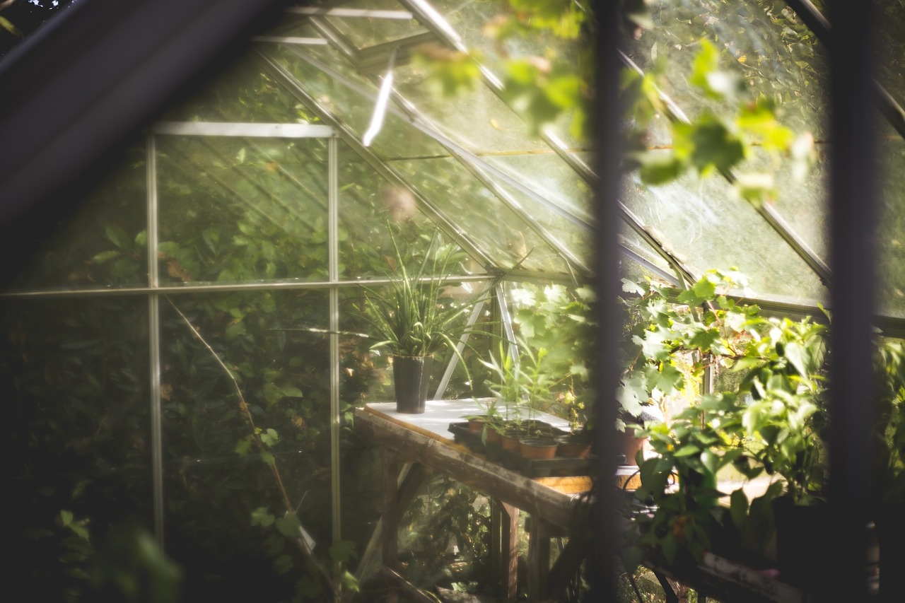 Installer un jardin pour donner un meilleur goût à votre propriété