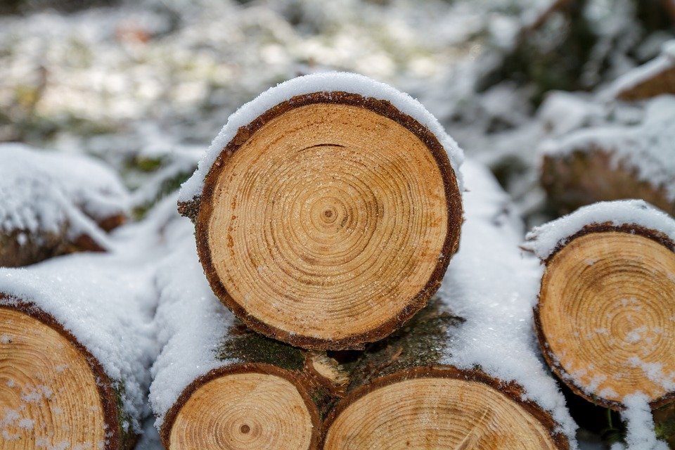 Comment avoir un excellent œuvre en bois ?