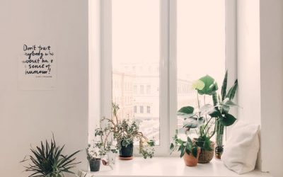 Troquer vos fenetres en bois trop classique contre des fenetres en alu plus tendance