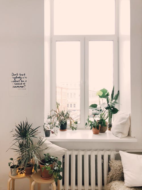 Troquer vos fenetres en bois trop classique contre des fenetres en alu plus tendance